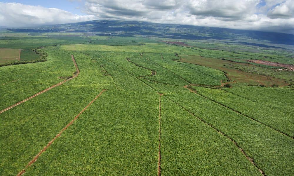 Aerial farmland with irrigation canals highlighting why an ALTA survey is needed to identify hidden easements