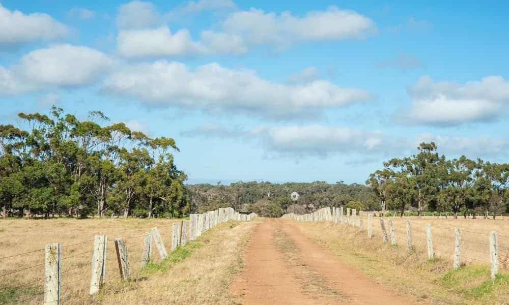 Narrow dirt road leading to a rural property with limited access