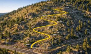 Aerial view of a steep mountain lot with topographic contour lines and a planned winding driveway, illustrating survey data used for driveway planning, grading, and drainage design