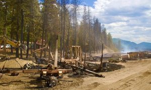 Burned hillside near a site requiring flood elevation survey review